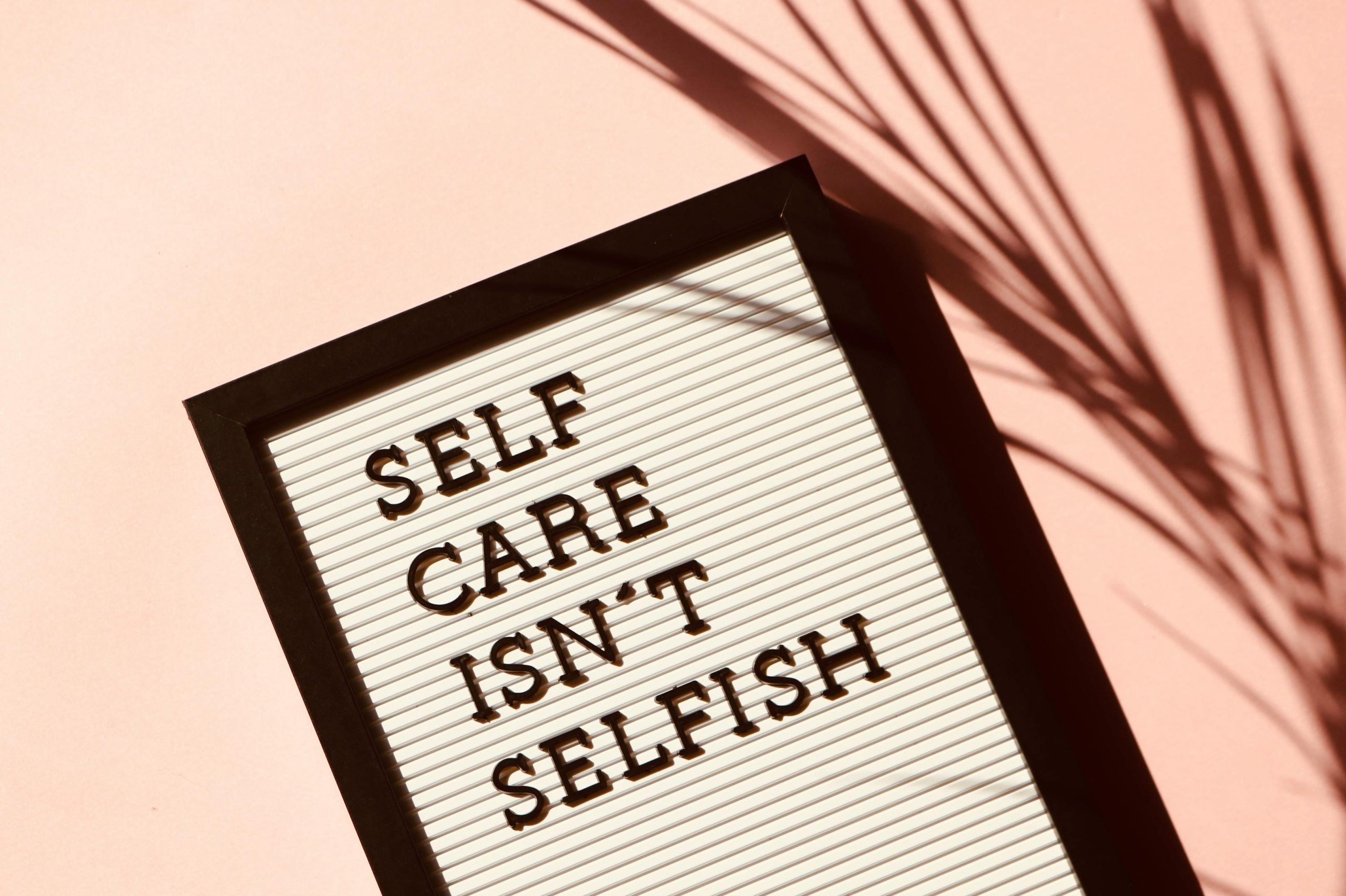 pexels-mdsnmdsnmdsn-2821823 pexels-mdsnmdsnmdsn-2821823